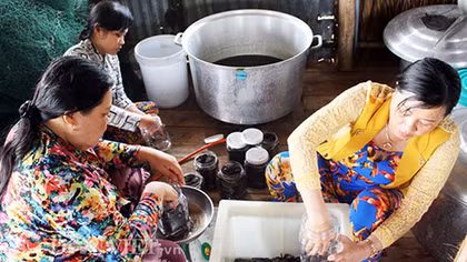 Nghề muối ba khía được công nhận là di sản văn hóa phi vật thể cấp Quốc gia