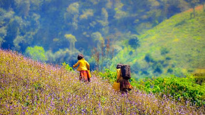 Tây Bắc mùa yêu thương