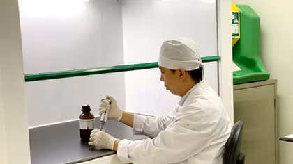 Các nhà khoa học “biến” ba kích thành sản phẩm chống loãng xương của người Việt 