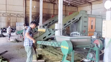 Lên Tây Bắc, thả hồn cùng “đệ nhất trà” Shan Tuyết 