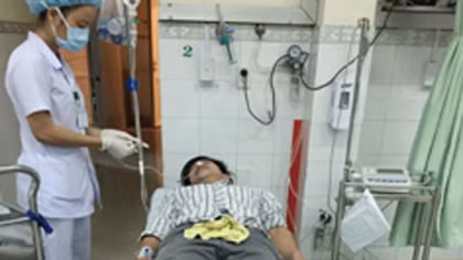 Ăn cá nóc, 3 người nhập viện cấp cứu
