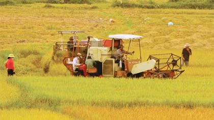 Xóa rào cản thu hút đầu tư vào nông nghiệp
