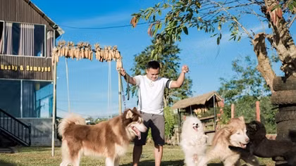Du khách yêu thích mô hình cà phê thú cưng ở Đắk Lắk