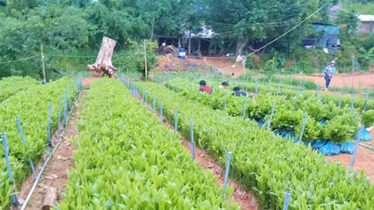 Nhiều cách làm hay đưa người chấp hành xong án phạt tù hòa nhập cộng đồng