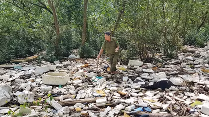 Rác thải nhựa tràn vào rừng phòng hộ