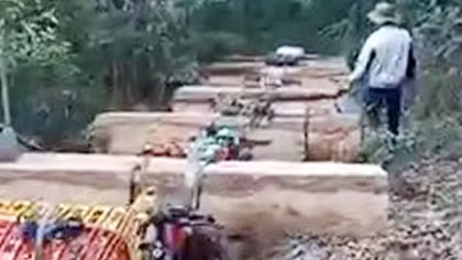 Lý giải thiếu thuyết phục việc băm, hủy gỗ