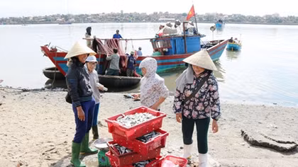 Cần sớm tháo gỡ khó khăn cho ngư dân bám biển