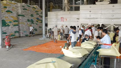Tạo nguồn vốn cho doanh nghiệp nông nghiệp đồng bằng sông Cửu Long