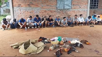 17 đối tượng đá gà ăn thua bằng tiền trong "mùa giãn cách"