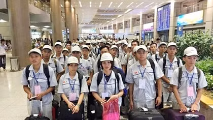 Doanh nghiệp phải trả phí nếu không đưa người lao động đi đúng hạn