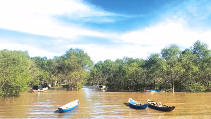 Những vạt rừng mang tên các anh 