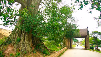 Nhà thơ Yên Thao: Từ “ông” trữ tình đến “ông” hài hước