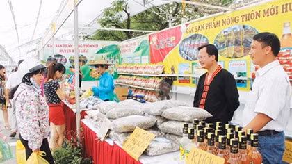 Phê duyệt Chương trình mỗi xã một sản phẩm giai đoạn 2018 - 2020