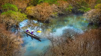 Triển lãm “Hương sắc trăm miền” năm 2017