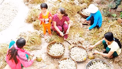 Agribank với chính sách tín dụng linh hoạt phục vụ tốt khách hàng