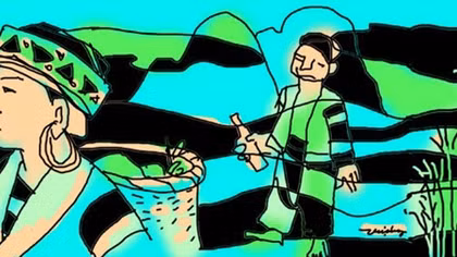 Hoa trên đỉnh Pù Ngùa