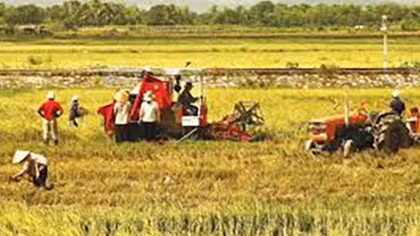 Lấy công nghiệp làm nền tảng để hỗ trợ nông nghiệp