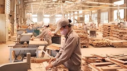 Để tránh bị điều tra phòng vệ thương mại khi xuất khẩu vào EU