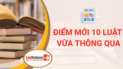 Công bố Lệnh của Chủ tịch nước về 10 luật vừa được Quốc hội thông qua