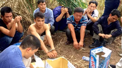 Chiếu bạc trong bãi lau sậy ven sông Cấm