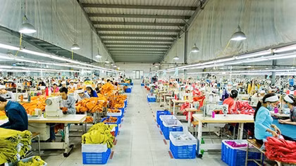 Khởi kiện các doanh nghiệp nợ đọng bảo hiểm xã hội