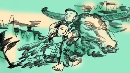 Cây sổ non mồ côi