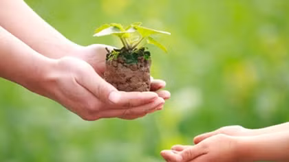 Sống thế nào là đúng đắn?