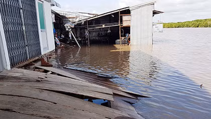 Xảy ra sạt lở, 26 hộ dân bị ảnh hưởng ở Cà Mau