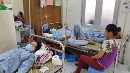 Báo động sốt xuất huyết ở người lớn