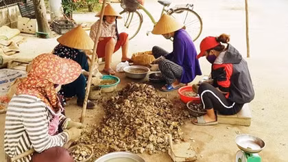 Neo cuộc đời nơi cửa sông Nhật Lệ