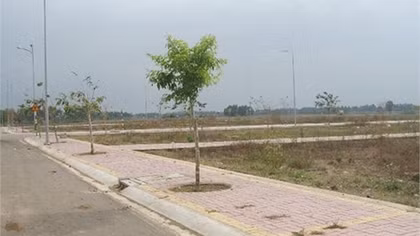 Giá chuyển nhượng đất nền ở TP Hồ Chí Minh tăng 12-15% chỉ trong vòng một năm