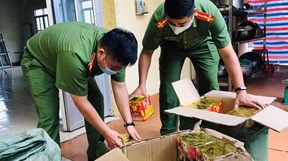 Gặp Công an, 3 đối tượng bỏ lại ô tô và 250kg pháo nổ 