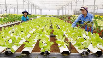Doanh nghiệp phải biết tận dụng cơ hội và kết nối