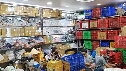 Người tiêu dùng bất an vì xe điện nhập lậu
