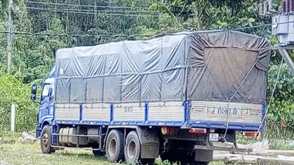 Ngụy trang gỗ trắc với gỗ mít để qua mắt kiểm lâm
