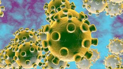 Suy ngẫm trong mùa dịch
