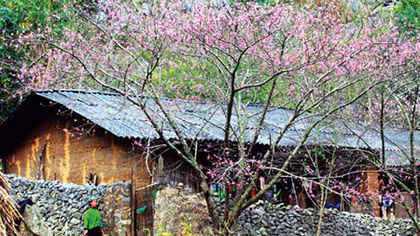 Khẽ khàng xuân