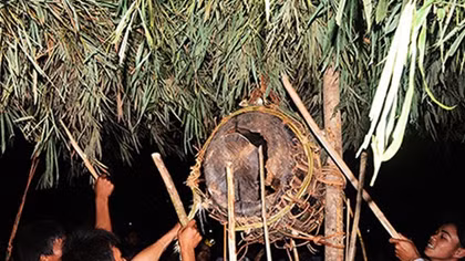 Chuyện ở Ma Coong