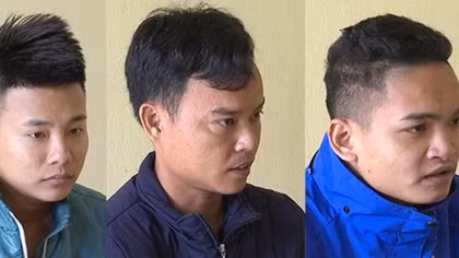 Lừa đảo bán lan đột biến HO