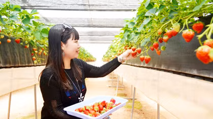 Du lịch không chỉ ở phố