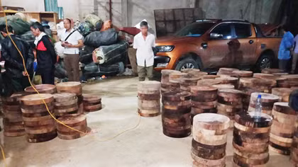 Kiểm tra “kho” gỗ nghiến, phát hiện ma túy tổng hợp