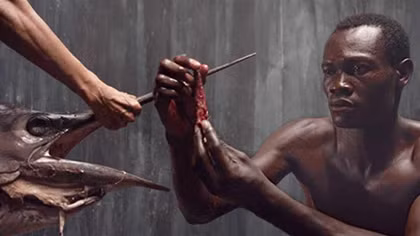 Phim ngắn mà không ngắn