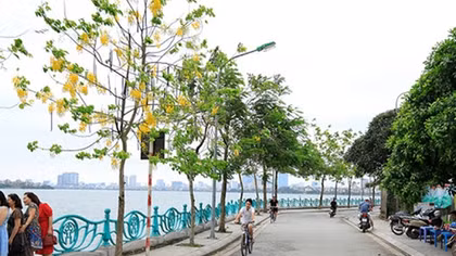 Cổ Ngư