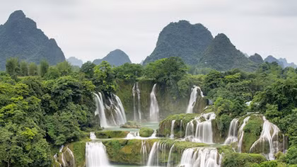 Vấn đề sinh thái trong thơ Việt
