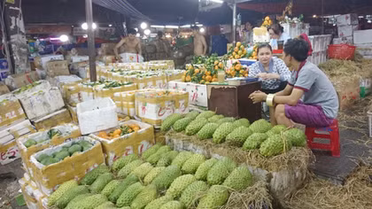 Chợ đầu mối trước ngày cao điểm phục vụ Tết