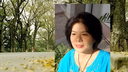 Nữ sĩ ngồi ngắm bóng mình đang khô