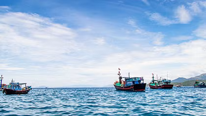 Yêu cầu xử lý vụ tàu chở hải sản bất hợp pháp vào Việt Nam