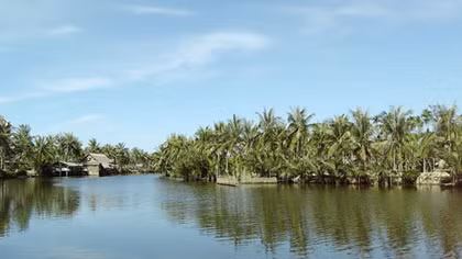 Bàng bạc phía đầu sông