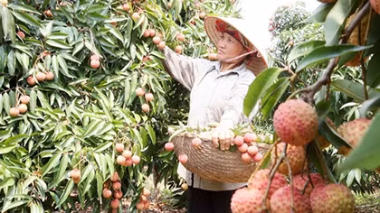 Cách mạng công nghiệp 4.0 hứa hẹn tăng quy mô GDP