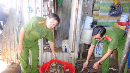 Chính phủ sẽ “tuyên chiến” với hành vi bơm tạp chất vào tôm